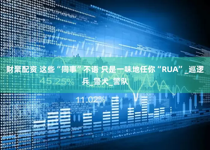 财聚配资 这些“同事”不语 只是一味地任你“RUA”_巡逻兵_警犬_警队