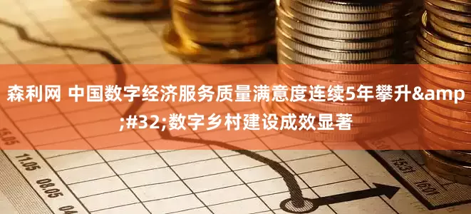森利网 中国数字经济服务质量满意度连续5年攀升&#32;数字乡村建设成效显著