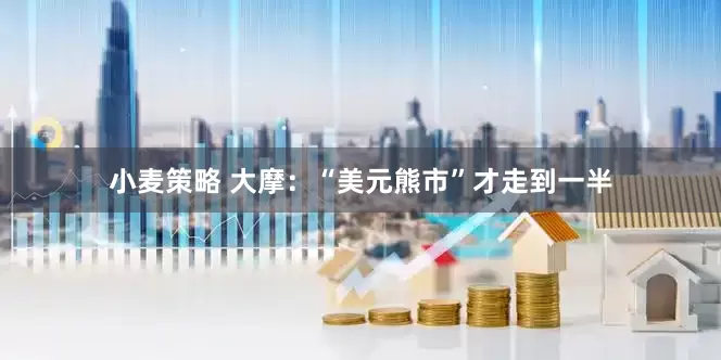 小麦策略 大摩：“美元熊市”才走到一半